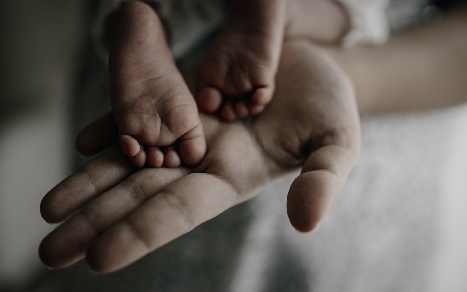 Neonatology (NICU)