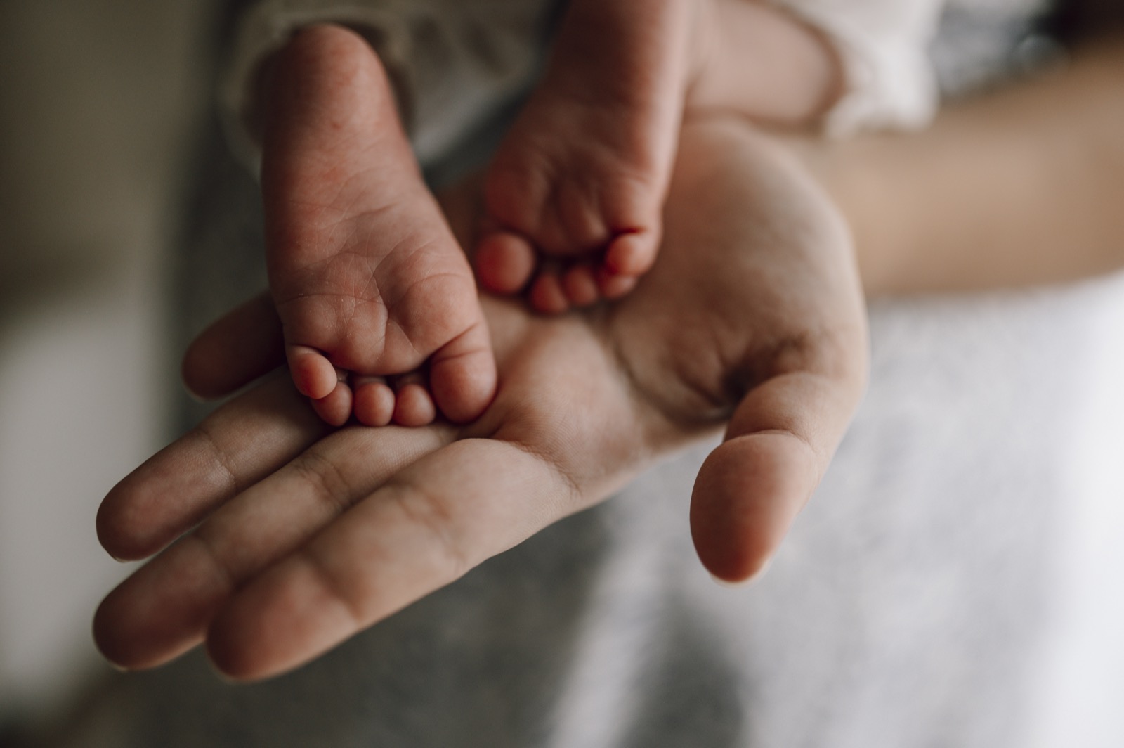 Neonatology (NICU)