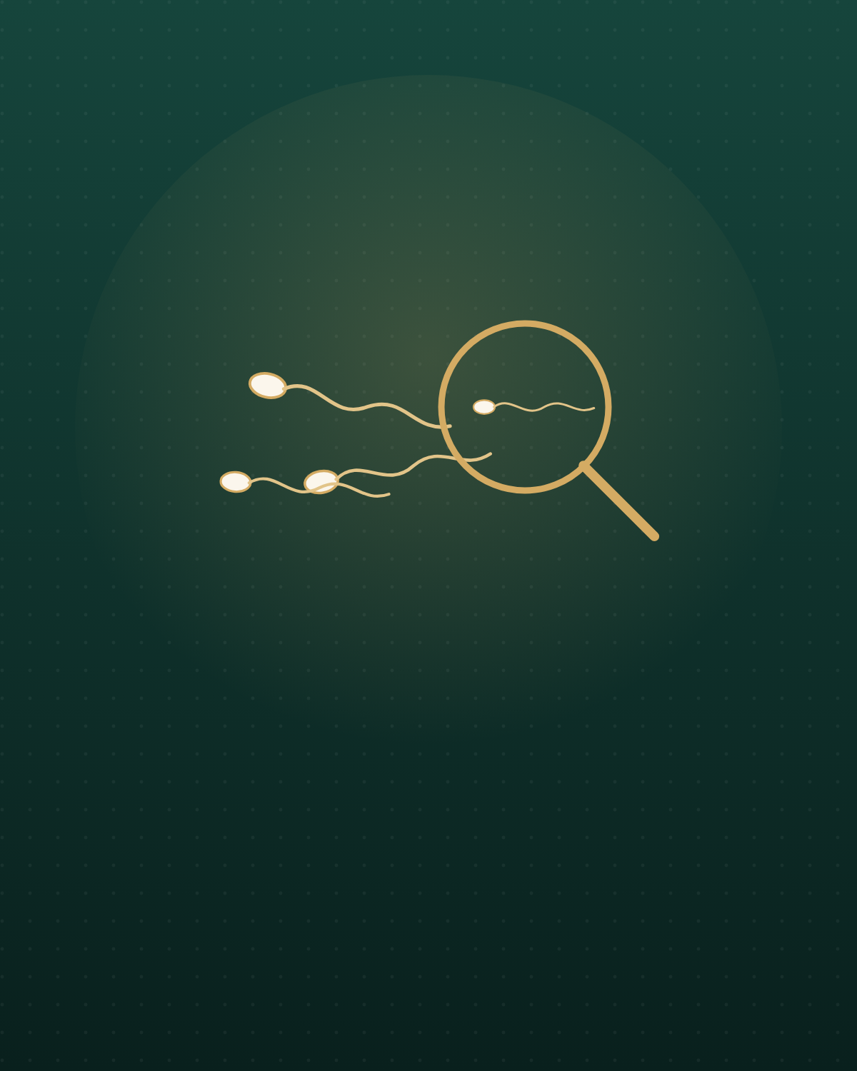 Male Infertility Treatment
